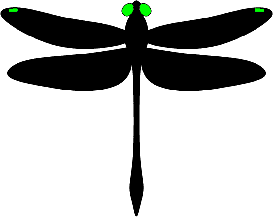 Odonata Research LLC